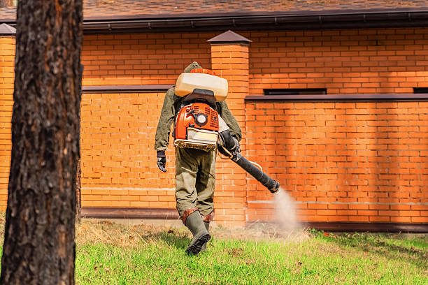 Trusted Cockroach Control service in Castleton-on-Hudson, NY - Nex Pest Control